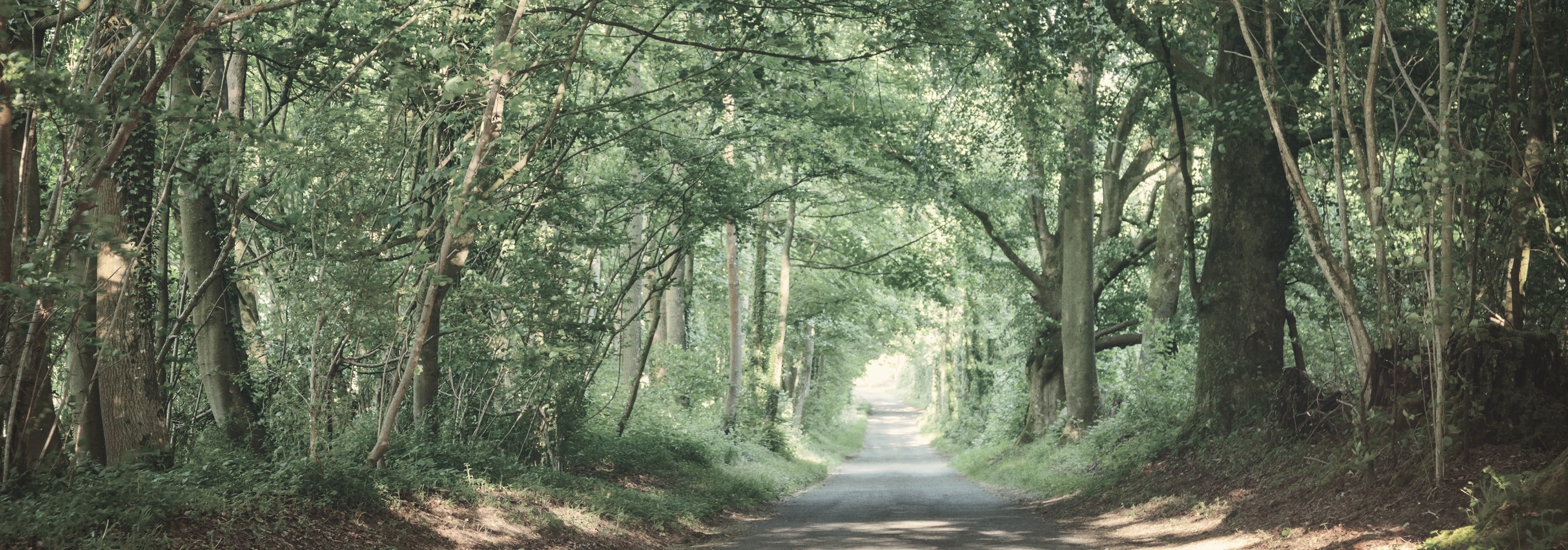 SHOP INFO GIMLÉの店舗案内・駐車場について